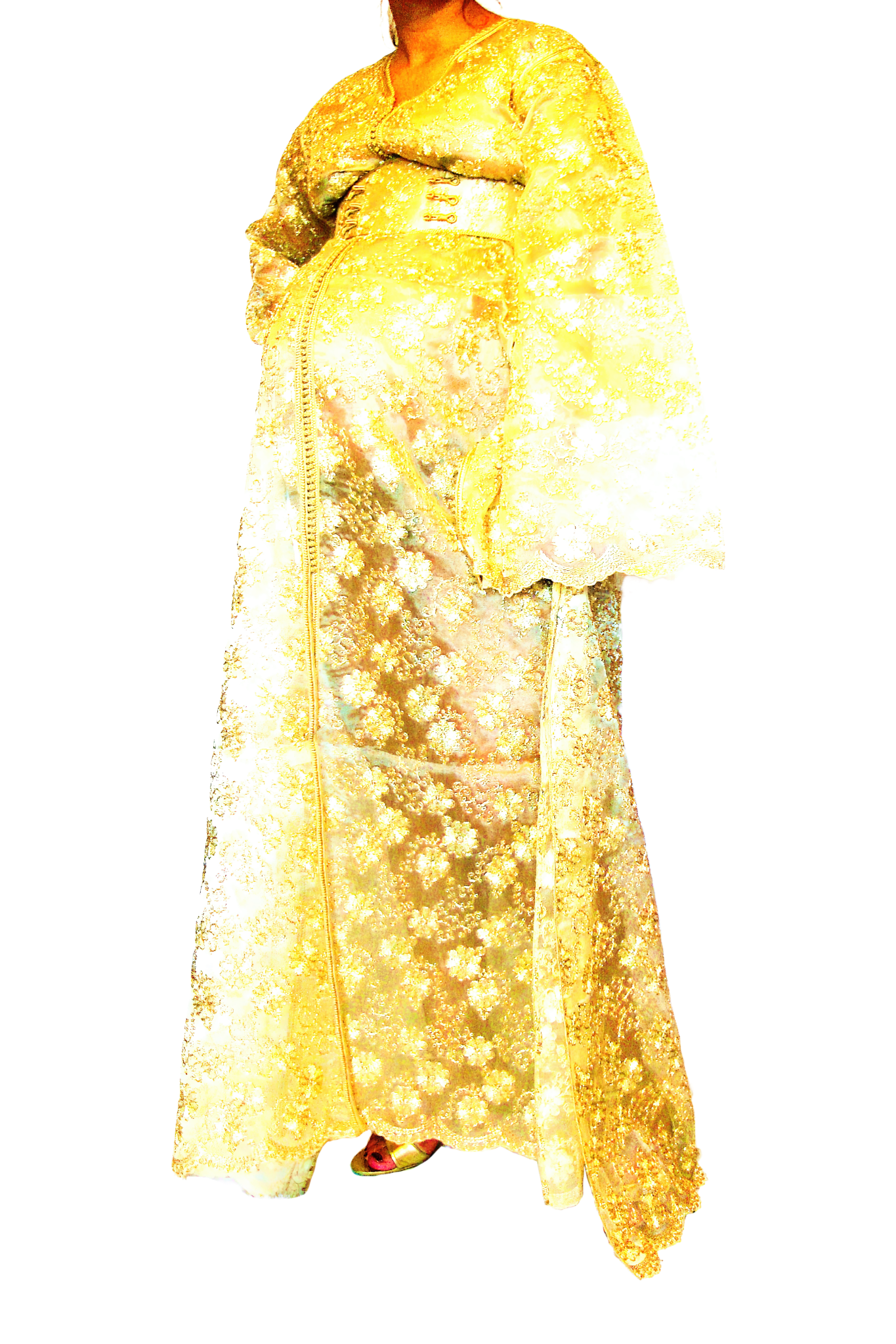 Le Corps Pansant - 2009